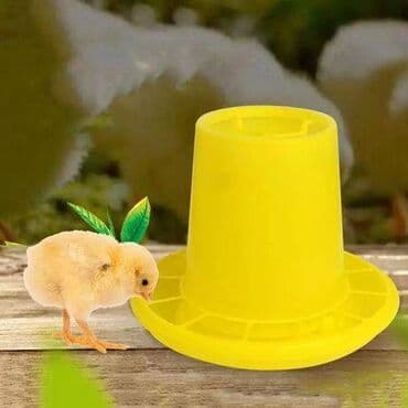 сельскохозяйственные животные продажа: Кормушки и Поилки Оптом и в Розницу для Кур и других Птиц . В нашем — 16