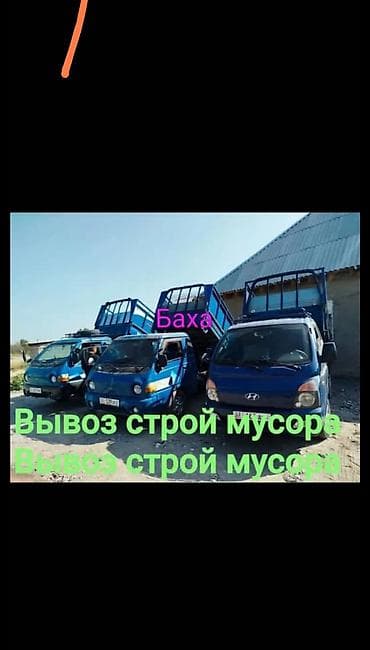 Декоративные кролики: Вывоз мусора вывоз мусора вывоз мусора вывоз мусора вывоз мусора — 1