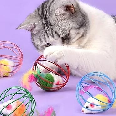 чычкандар: Игрушки для кошек – набор интерактивных шаров - Проволочные шары с — 1