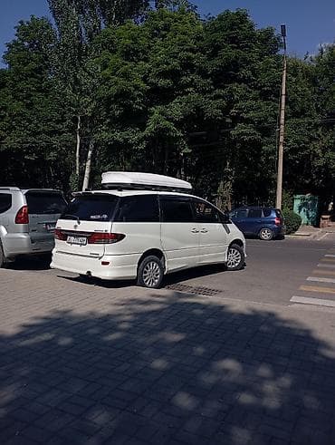 груша человек купить: Запчастка чачылат — 3