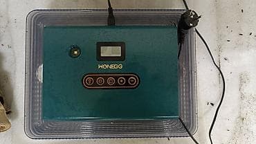 Инкубатор WONEGG для яиц птицы - Электронный блок управления с