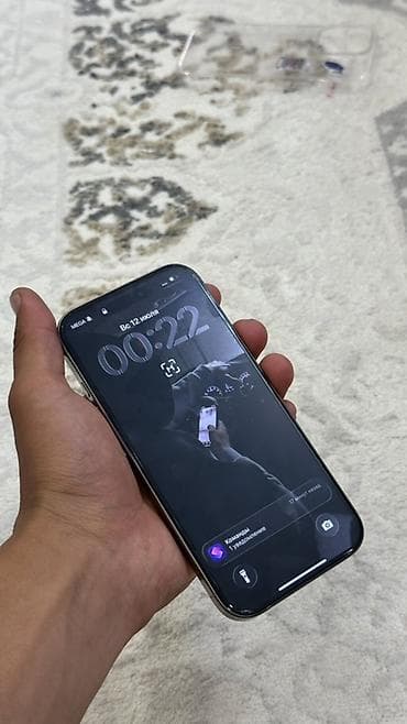 IPhone 16Pro, цвет Natural Titanium (натуральный титан) 16 Pro в — 6