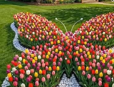 не грусти книга: Услуги посадка цветов, дизайна и ухода за садом. - Проектирование — 3