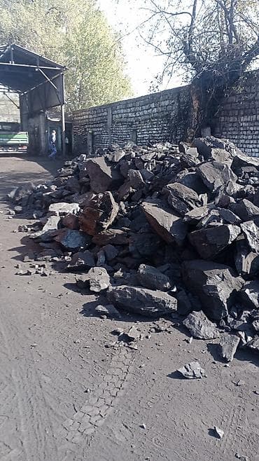 ак кайын: Акылуу жеткирүү, Дүңүнөн, Фракциясы: Чоң (Ч), Тонна менен — 3