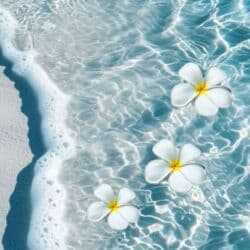 Администраторлор: Ищу работу на горничную с проживанием на 1 год. Желательно — 1