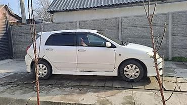 рав rav: Toyota Allex: 2003 г., 1.5 л, Автомат, Бензин, Хэтчбэк — 8