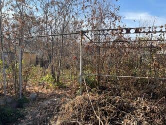 срочная продажа квартир в бишкеке без посредников: 6 соток — 9