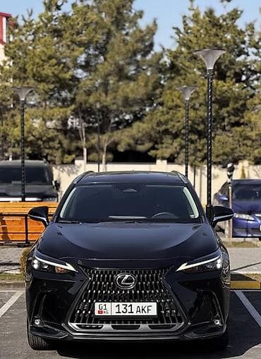 lexus aristo: Lexus NX: 2023 г., 2.4 л, Автомат, Бензин, Кроссовер — 2