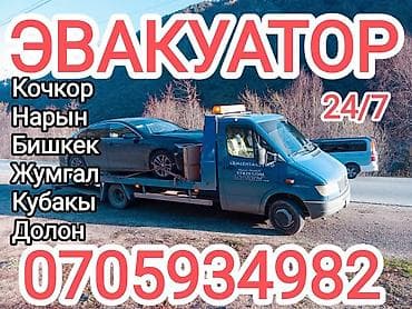 профессиональная покраска одежды бишкек: С лебедкой — 2