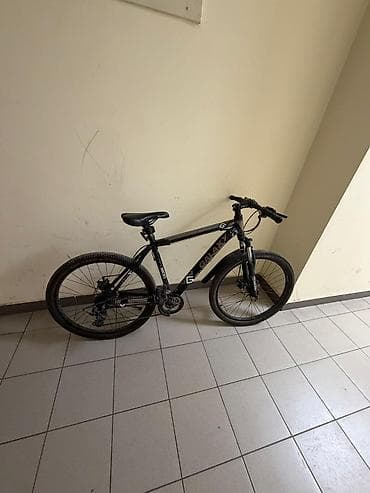 single speed: Горный велосипед Galaxy (серия G, модель G2/GLX, надписи на раме) — — 2