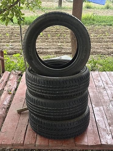 Шины 205 / 55 / R 16, Лето, Легковые