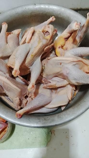 Мясо птицы: Тушки перепёлки, потрошёные, без головы и лап (частично с сохранёнными — 2