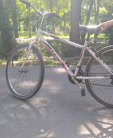 велик трек: Городской велосипед Trek (ориентировочно 28") в классической — 1