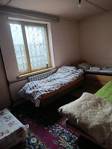 nomad hostel: Сдаю комнату комната берилет Бир кровати 5000 сом условия бар душ бар — 2