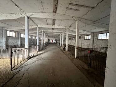 дом совхоз фрунзе: Сдаю Конюшню в перспективном районе для содержания лошадей и быков — 1