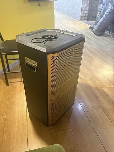 купить микрофон караоке: Портативная акустическая система G.B Audio (G.BAUDIO) на колесах — 1