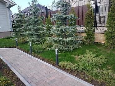 амафос удобрения: В тоннах, Зил — 2