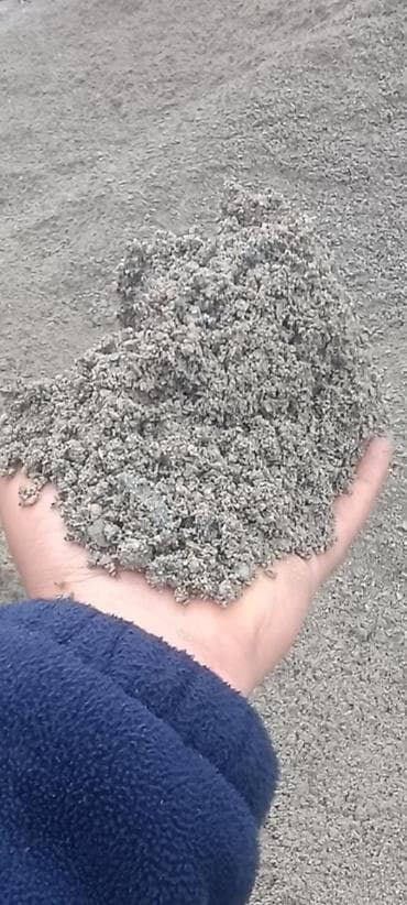 сухой карагач: Отсев Отсев Отсев Отсев Отсев Отсев Отсев Отсев Отсев Отсев Отсев — 3