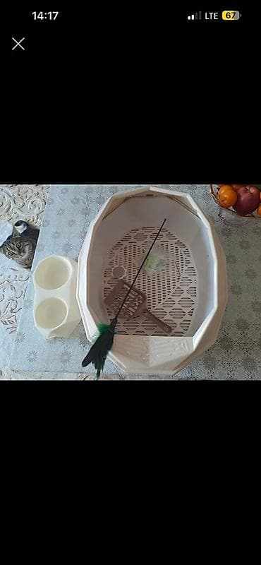 той собака: Переноска для животных. сумка для собак и кошек. размеры ширина — 10