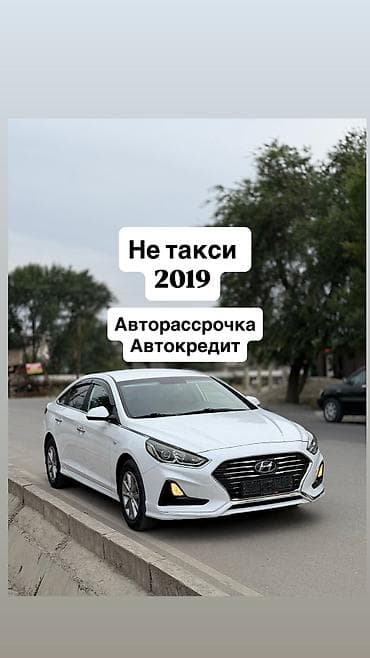 Hyundai Sonata: 2019 г., 2 л, Автомат, Газ, Седан