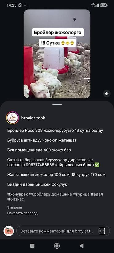 солярис авто: Hyundai Solaris: 2011 г., 0.4 л, Робот, Седан — 5