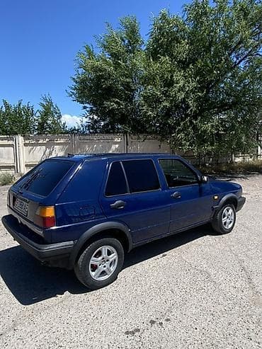 220 s class: Volkswagen Golf: 1991 г., Хэтчбэк — 4