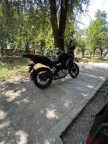 сколько стоит детский питбайк: Adventure Honda, 250 куб. см, Бензин, Взрослый — 2