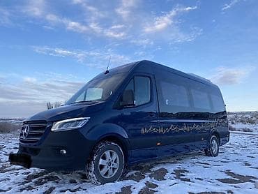 ленивец на даф: Пассажирский микроавтобус Mercedes‑Benz Sprinter 315 CDI (сине‑темный — 8
