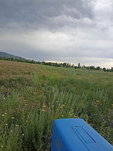 аренда земли: 47 соток, Для сельского хозяйства — 1