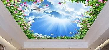 iphone se1: Натяжной потолок 3D потолки, Глянцевое, Матовое Бесплатная консультация, Бесплатный замер, Гарантия — 2