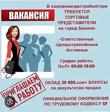 Сатуу боюнча менеджерлер: Вакансия: торговые представители (г. Бишкек) Ищем: - ответственных - — 1