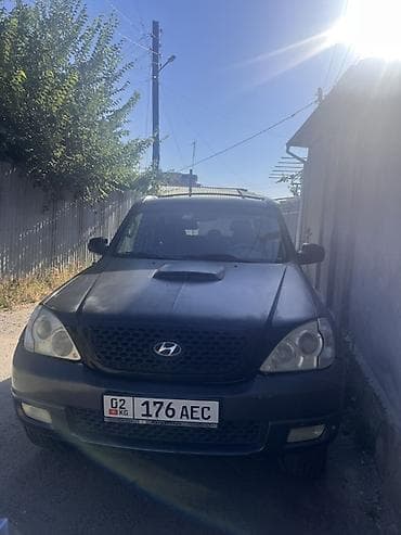 santa fe: Hyundai Terracan: 2004 г., Автомат, Дизель, Внедорожник — 2