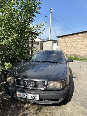 Audi: Audi 100: 1992 г., Седан — 3