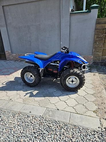квадроцикл цены: Продаем квадроцикл Yamaha wolverine 450 2008 год Автомат с — 5