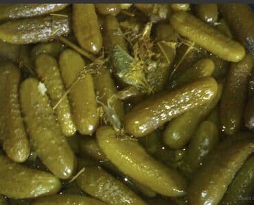 Огурцы Оптом