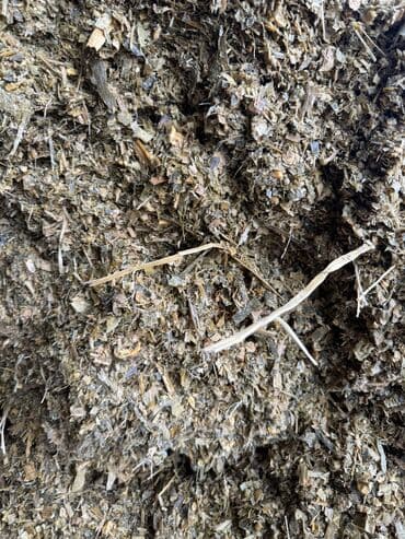 продать животных: Продаем Силос — 2