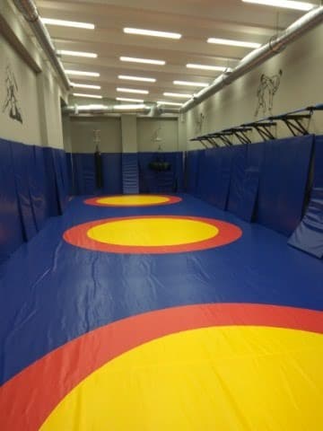 alligator: 🥋 Борцовские ковры, маты, боксёрские и ММА ринги под заказ 📌 at lalafo.kg alligator: 🥋 Борцовские ковры, маты, боксёрские и ММА ринги под заказ 📌