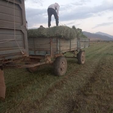 купить диски для внедорожника: Грузовик, ЗИЛ, Стандарт, Б/у — 14