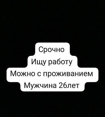 IT, компьютерлер, байланыш: Услуга: ищу работу с возможностью проживания - Мужчина, 26 лет - — 1