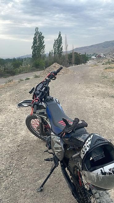 Эндуро 300 куб. см, Бензин, Взрослый — 2