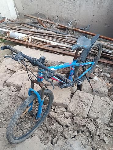 Велосипеды: Горный велосипед, Alton, Рама M (156 - 178 см), Сталь, Б/у — 3