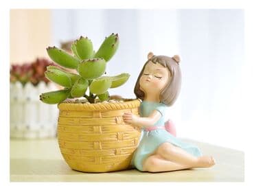 Цветочные горшки,кашпо для домашних цветов и сукуллентов at lalafo.kg Цветочные горшки,кашпо для домашних цветов и сукуллентов