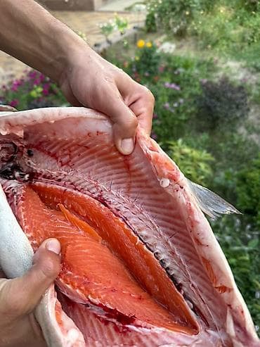 бани на дровах: Свежая форель - Натуральный вкус, красное филе с выраженной — 2