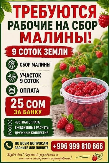 Работа: Требуется Сборщик урожая, Оплата: Ежедневно — 1