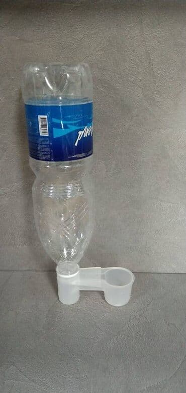 где можно купить молодых кур несушек: Поилка под бутылкой минералки — 1