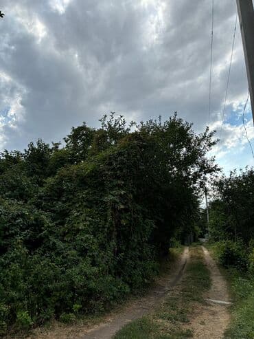 продажа домов балыкчы: Дача, 7 м², 2 комнаты — 3