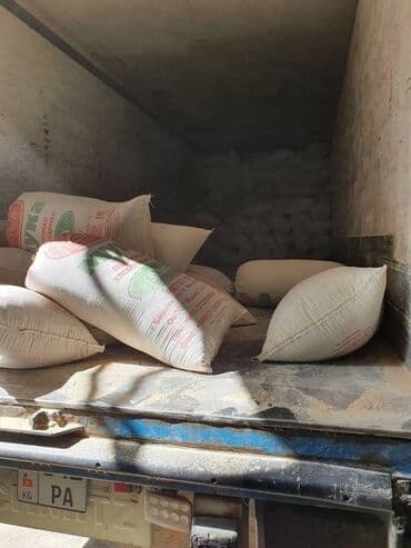 рэгдолл цена: Отруби отруби Отруб отруб Улпак улпак Улпаг улпак Кепек Кебек Кевек — 13