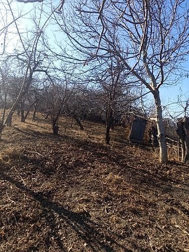 Үйдү ижарага алам: Үй, 90 м², 4 бөлмө, Менчик ээси — 1