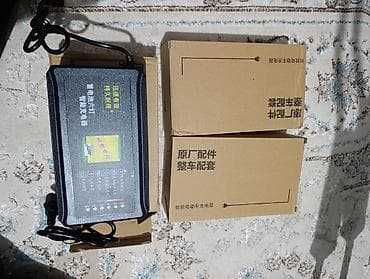 Башка техникаларды оңдоо: Запчасти на трициклы. Диагностика и ремонт электро муравей любой — 10