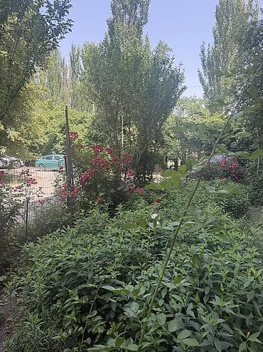 квартиры мкр: 1 комната, 32 м², 104 серия, 5 этаж, Евроремонт — 8